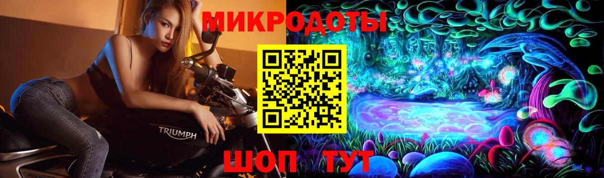 Воркута  Галлюциногенные грибы прущие грибы  Вход с VPN 